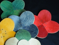 Plats en fleurs 01