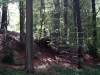 Refuge I