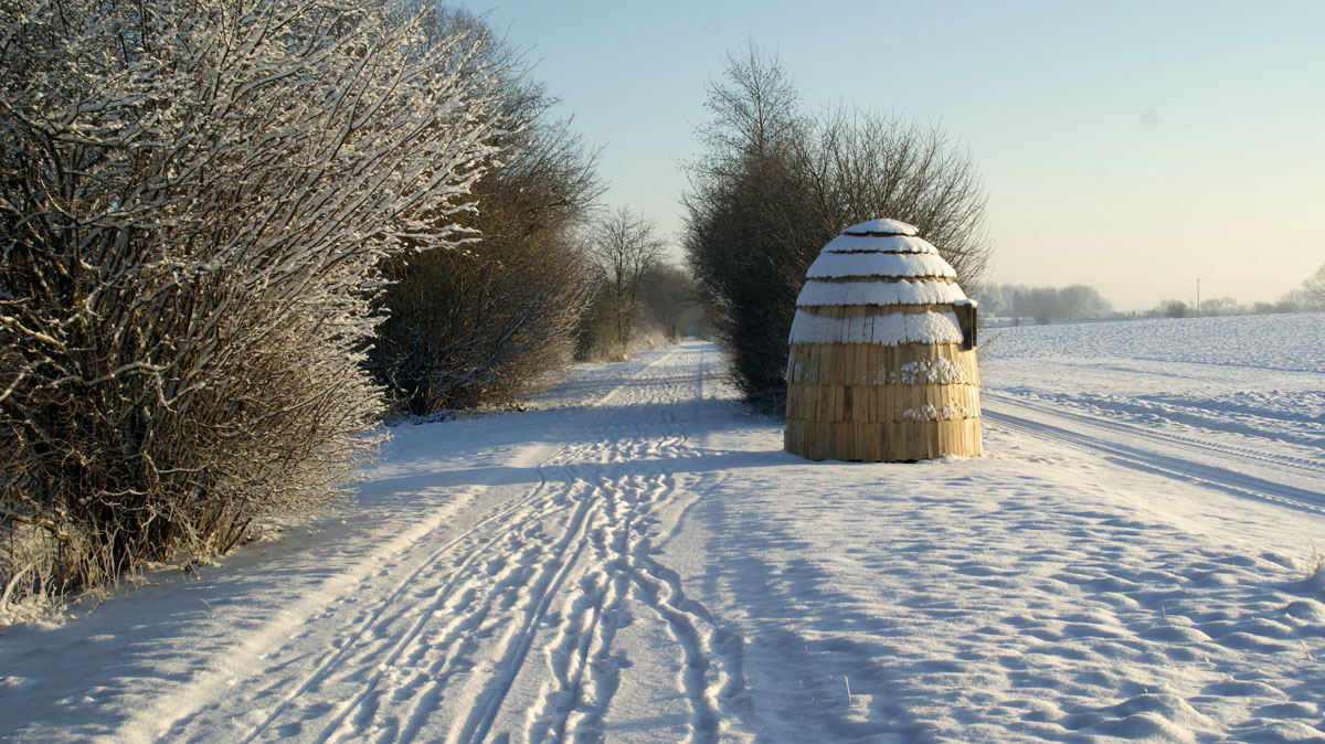 dsc00003_web