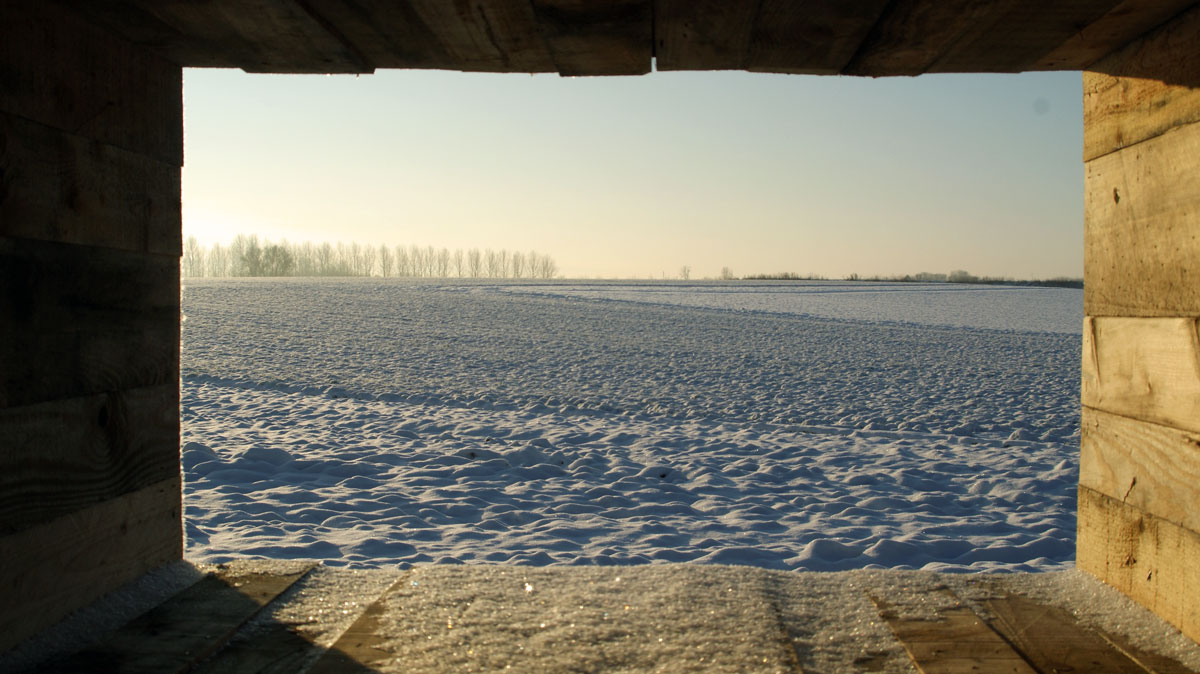 dsc00008_web