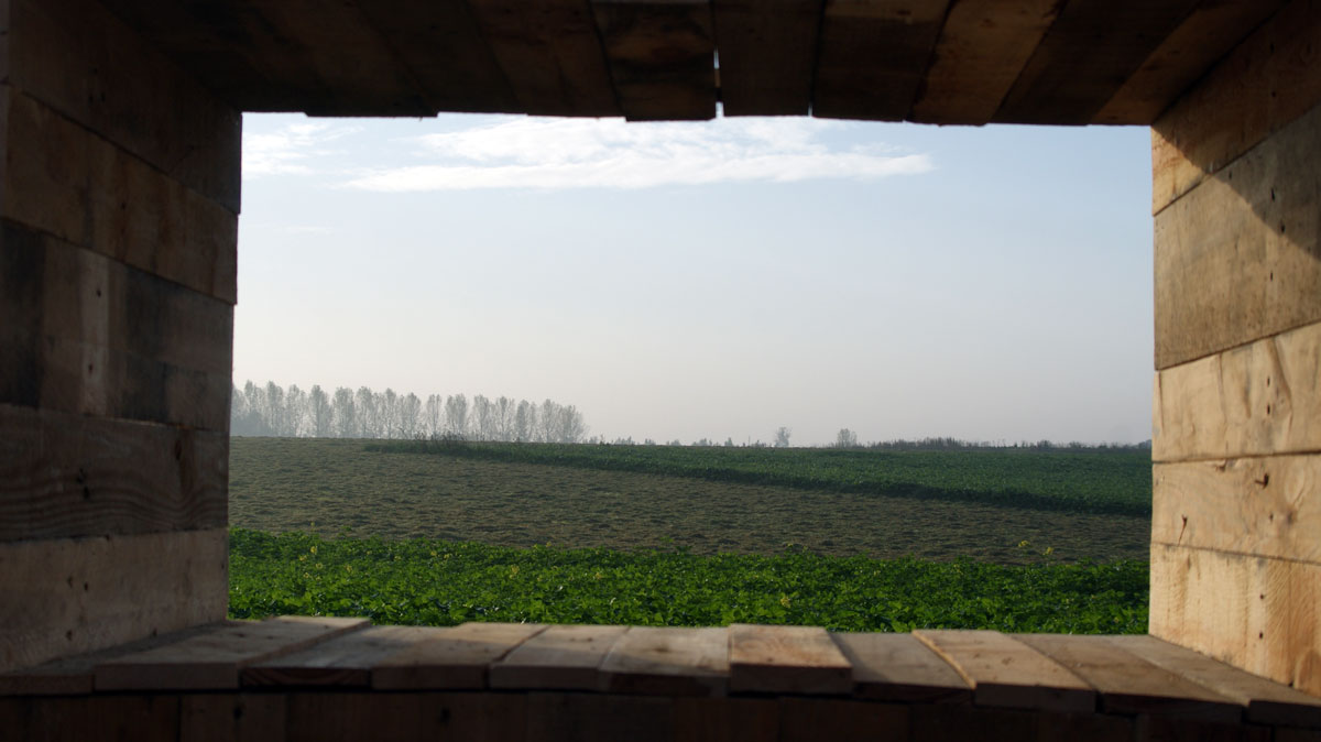 dsc00015_web