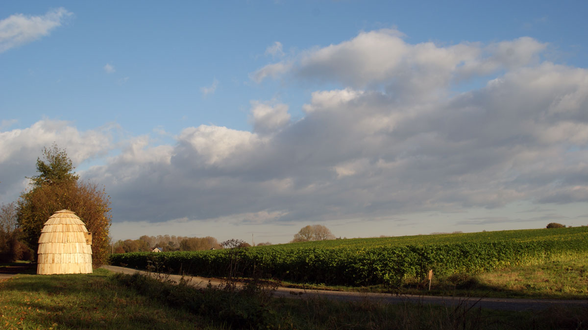 dsc00039_web