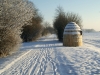 dsc00003_web