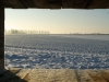dsc00008_web
